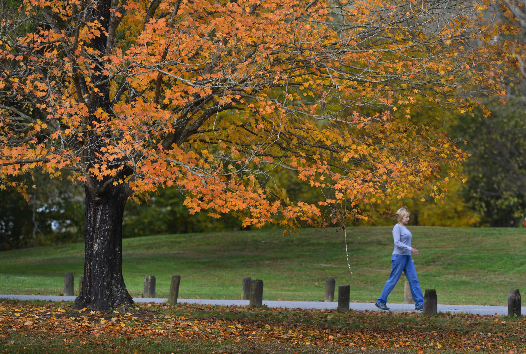 PHOTO: A colorful morning walk